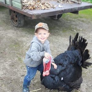 Meet your Posher, Nancy